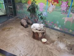 -秦皇岛新澳海底世界