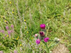 -扁都口生态休闲旅游区
