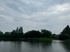 -杭州西溪宾馆-松露西餐厅