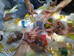 -昆山城市生态森林公园