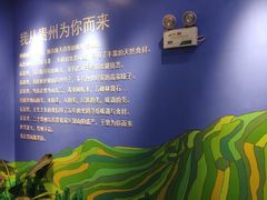 -贵凤凰贵州米粉(望京店)
