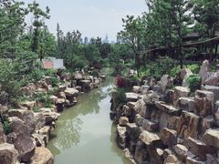 -江心屿景区