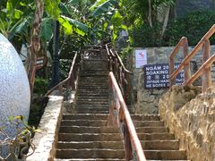 -100蛋泥浆浴