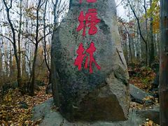 -道须沟旅游风景区