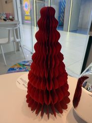 点击看大图 -玛莲朵·海菲秀冰珀科