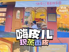 -嗨皮儿·现蒸面皮(抄纸巷店)