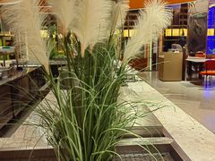 -水之梦(黄浦店)