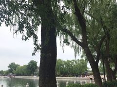 -什刹海