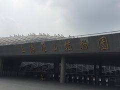 -陈董药炖排骨(饶河街店)