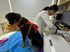-美联众合动物医院·24h京西诊疗中心