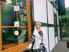 -金山农民画村-枫泾波兰倒置屋