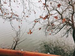-李公堤