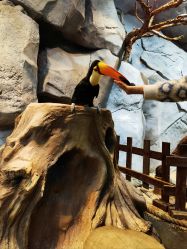 -Zoolung Zoolung动物主题公园(海信广场店)