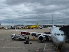 -奥黑尔国际机场