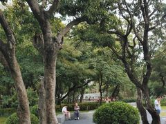 -四海公园(南山区)