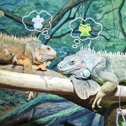 -Zoolung Zoolung动物主题公园(海信广场店)