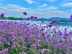 -池州市平天湖风景区