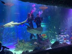 -沈阳海洋探索中心