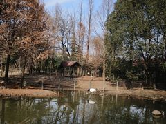 -扬州市茱萸湾风景区