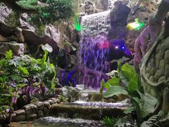 -多彩贵州城极地海洋世界