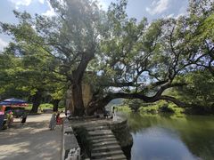 -上坦村
