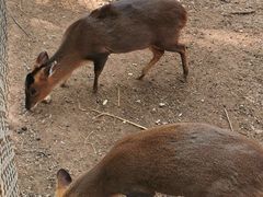 -昆明动物园