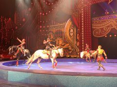 -珠海横琴长隆《卡卡虎奇遇记》