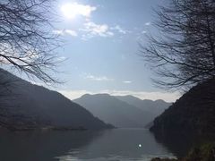 -小芝红树林