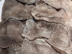 -竹海听涛生态山庄