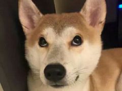 -浔岚云舍mist静谧观景美宿(丽江古城店)