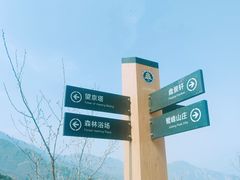 -北京鹫峰国家森林公园