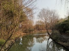 -同里国家湿地公园