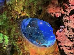 -沈阳海洋探索中心