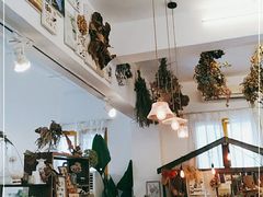 -知物癖(牛王庙店)