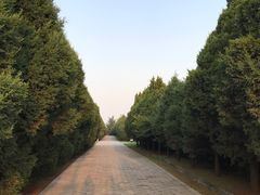 -秦始皇帝陵博物院-丽山园