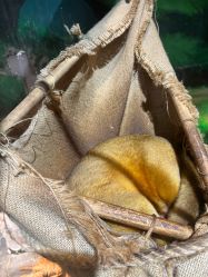 -Zoolung Zoolung动物主题公园(海信广场店)