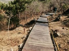 -北京十三陵国家森林公园蟒山景区