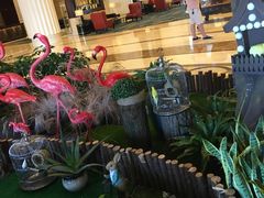 -常州武进九洲喜来登酒店