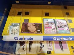 -Animate(工人体育场东路店)