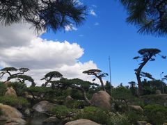 -罗红摄影艺术馆