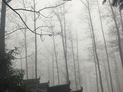 -藏龙百瀑风景区