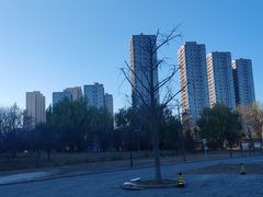 -太阳宫公园