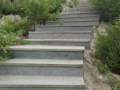 -水池山公园
