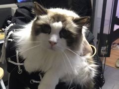 -零纪元VR体验馆·桌游(黄浦店)