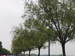 -迪士尼小镇