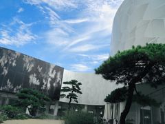 -罗红摄影艺术馆