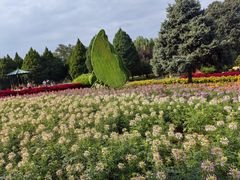 -石家庄市植物园