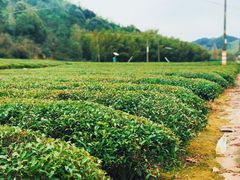 -东钱湖旅游度假区