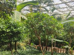 -忆江南·生态餐饮宴会酒店