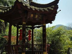 android_upload_pic-杭州西湖风景名胜区-三生石